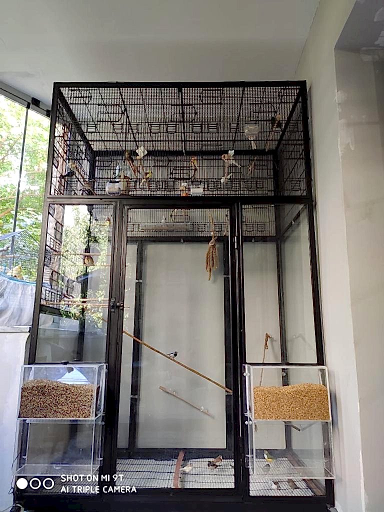 kuş salması pinglesplumer.info